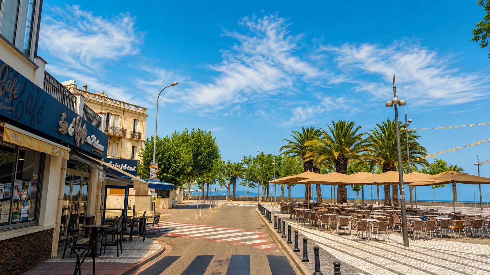 Terrasse et façade du Café des Platanes, place principale de Banyuls-sur-Mer