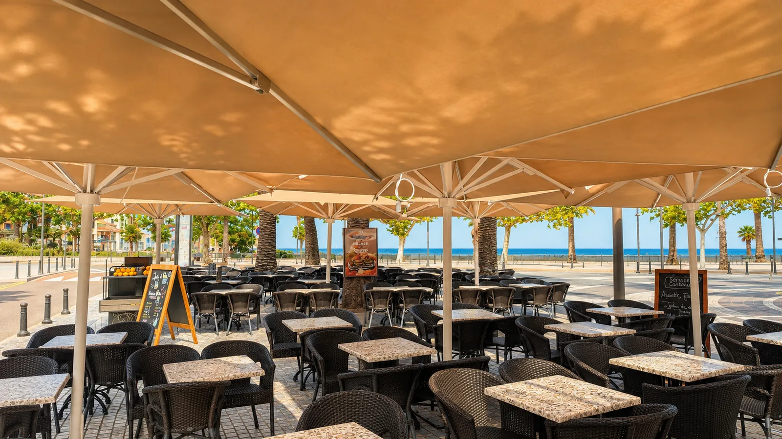 Terrasse ombragée du Café des Platanes, vue sur la mer